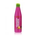 CHAMPU STRAIGHTENING 250 ML.