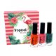 THUYA KIT DELUXE TROPICAL