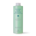 BALSAM ALGAS GLYCOLIC 1000 ML.