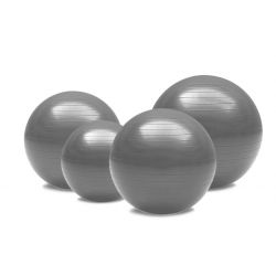Fitball silver