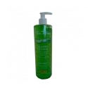 Gel Aloe Vera, 500 ml.