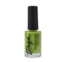 ESMALTE DELUXE SUMMER APPLE Nº101