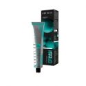 ABSOLUK TINTE N-10.2 100ml