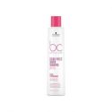 BCC COLOR F Silver CHAMPU 250ml