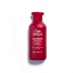 ULTIMATE REPAIR CHAMPU 250ml
