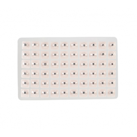 Semillas herbales para aurículo (300 uds)