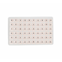 Semillas herbales para aurículo (300 uds)