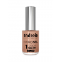 ANDREIA Hybrid Gel - Fusion Color H11