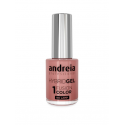 ANDREIA Hybrid Gel - Fusion Color H12