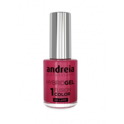 ANDREIA Hybrid Gel - Fusion Color H21