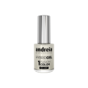 ANDREIA Hybrid Gel - Fusion Color H3