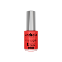 ANDREIA Hybrid Gel - Fusion Color H35