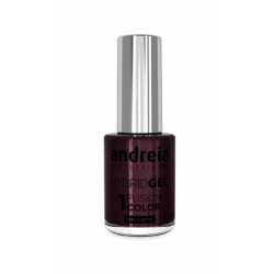 ANDREIA Hybrid Gel - Fusion Color H87