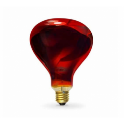 Bombilla Infrarrojos 275 W