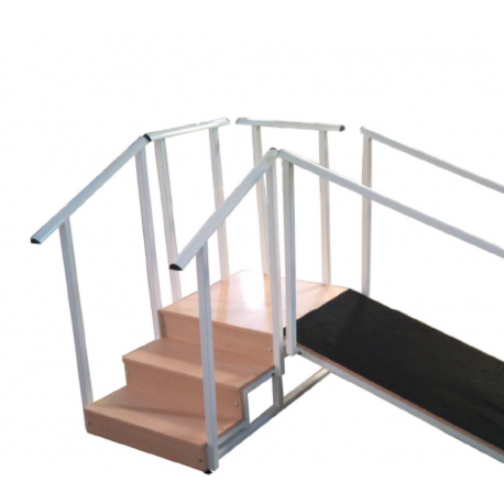 Escalera y Rampa 5 peldaños - altura regulable
