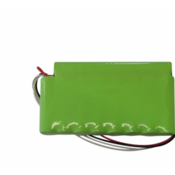 Batería Globus 2000mAh 1 unidad