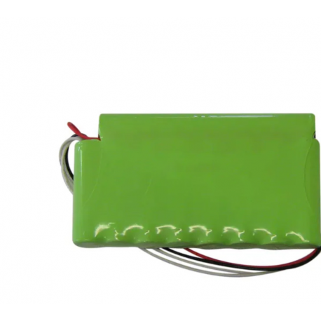 Batería Globus 2000mAh 1 unidad