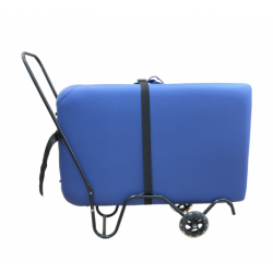 Carrito Transporte HC
