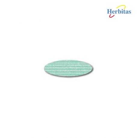 Clips Celsystem Nº 16