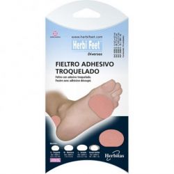 Fieltro Pre-troquelado-L