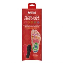 Plantilla Reflexología 41-46