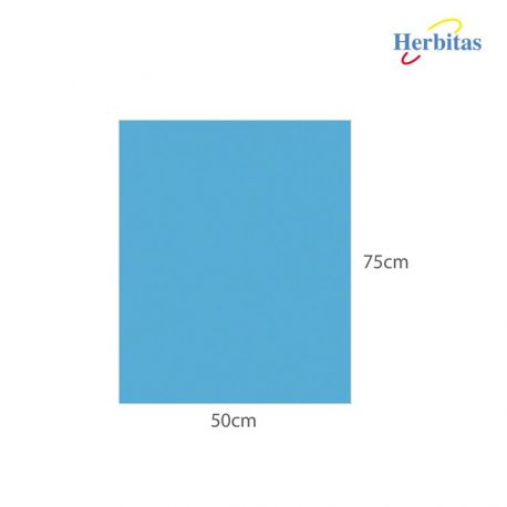 Talla Plastificada 50 x 75 cm No estéril