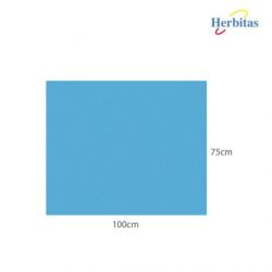 Talla Plastificada 75 x 100 cm No estéril