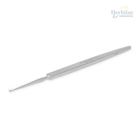 Cucharilla Osea 2