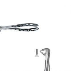 Forceps Raíces Inferiores Nº74 Linea Black