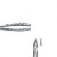 Forceps Raíces Superiores Nº29