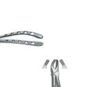 Forceps Molares Superior Derecho Nº17