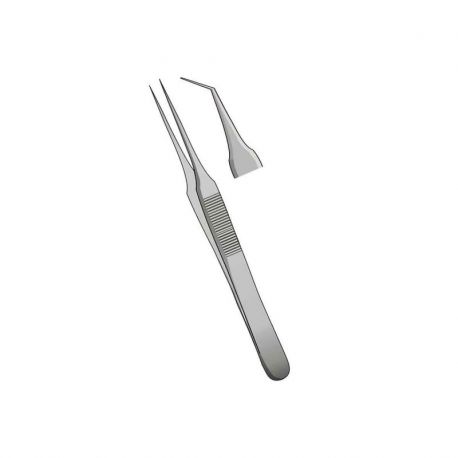 Pinza Tübingen Curva 10cm