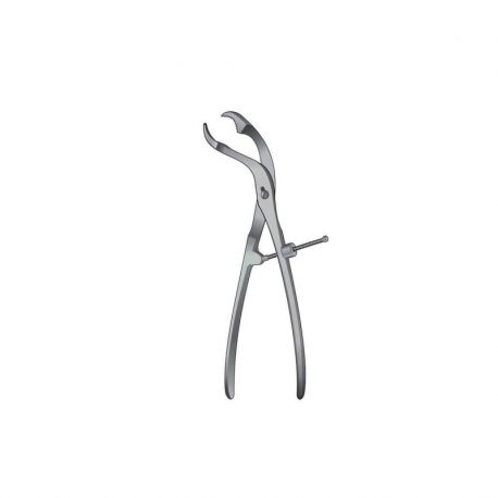 Pinzas Verbrugge Con Sujeción Para Hueso 15cm