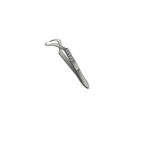 Pinza Campo Jones 6cm