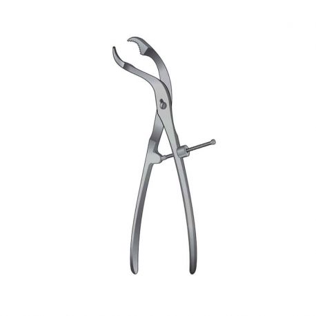 Pinzas Verbrugge Con Sujeción Para Hueso 26cm