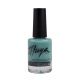 ESMALTE PREMIUM Nº11