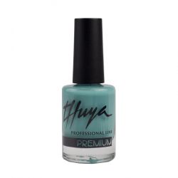 ESMALTE PREMIUM Nº11