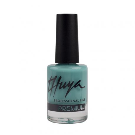ESMALTE PREMIUM Nº11