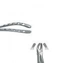Forceps 