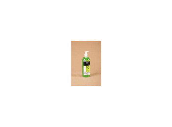 Propiedades y usos del gel aloe vera