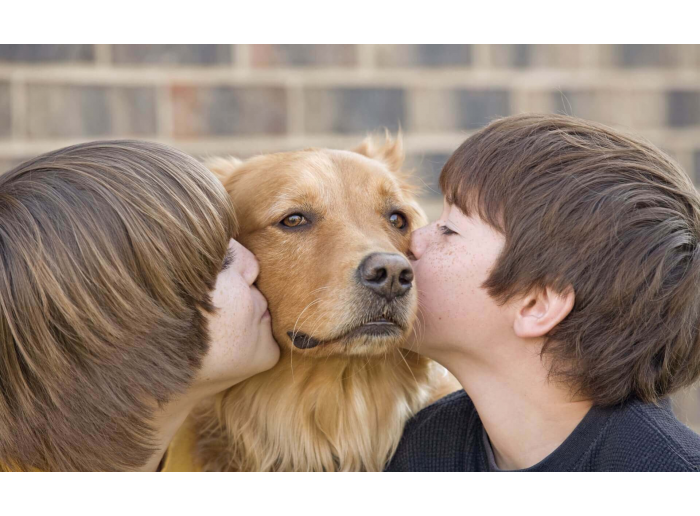 CLAVES DEL BIENESTAR ANIMAL EN NUESTRA CASA
